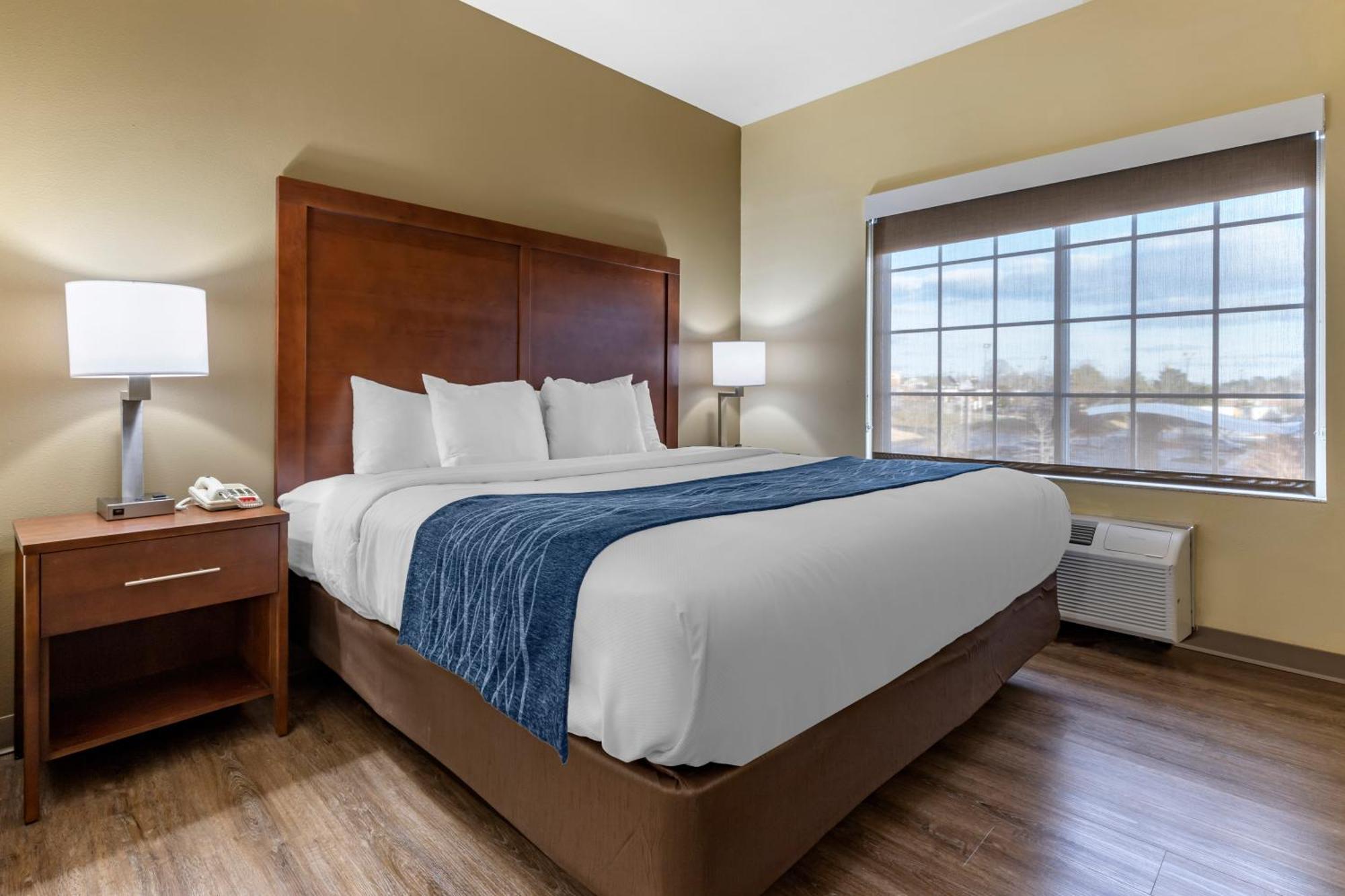 Comfort Inn & Suites High Point - Archdale Rum bild