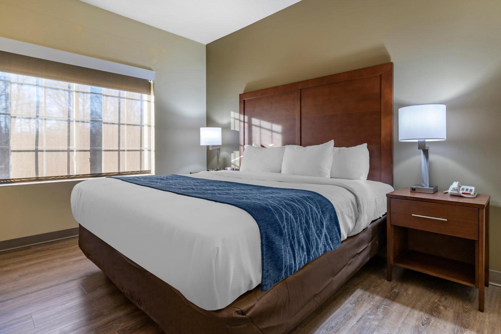 Comfort Inn & Suites High Point - Archdale Rum bild
